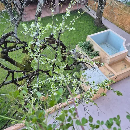 Homestay szállás Casa De St Antonio Murtosa